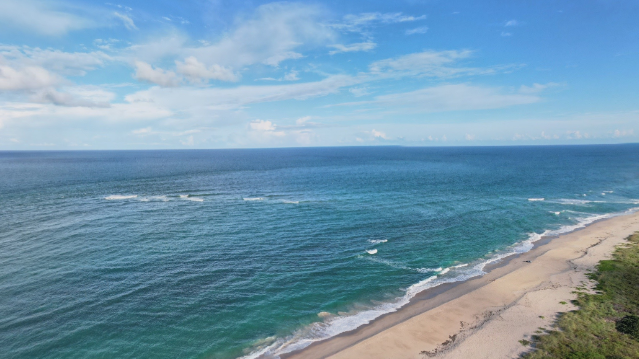 Beach at Sebastian Inlet State Park Melbourne, FL